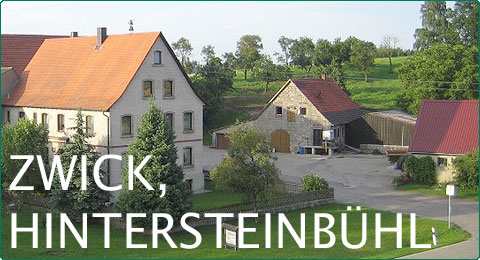 Referenz Zwick Hintersteinbühl